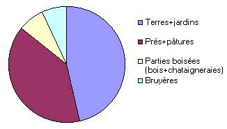 Proporciones ocupadas sobre el municipio de Ally