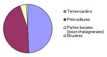 Proporciones ocupadas sobre el municipio de Drignac