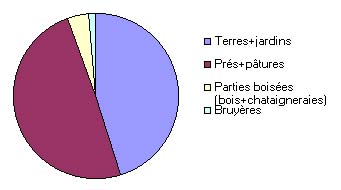 Proporciones ocupadas sobre el municipio de Loupiac