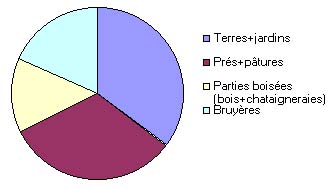 Proportions occupées sur la commune de St Martin Cantalès