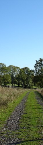 Chemin près de Cheyssiol (commune de Tourniac)
