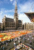 La Plaza Major de Bruselas (mercado de flores)