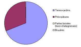 Proportions occupées sur la commune d'Escorailles