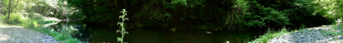 L'Auze dans la forêt de Miers