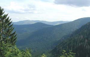 Valle de los Vosgos